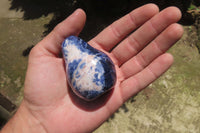 Polished Sodalite Fruit Carvings x 6 From Namibia