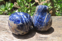 Polished Sodalite Fruit Carvings x 6 From Namibia