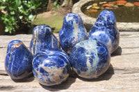 Polished Sodalite Fruit Carvings x 6 From Namibia