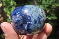 Polished Sodalite Fruit Carvings x 6 From Namibia