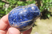 Polished Sodalite Fruit Carvings x 6 From Namibia