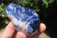 Polished Sodalite Fruit Carvings x 6 From Namibia