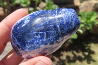 Polished Sodalite Fruit Carvings x 6 From Namibia