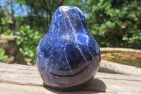 Polished Sodalite Fruit Carvings x 6 From Namibia