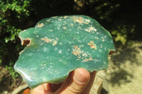 Polished On One Side Emerald Mtorolite x 2 From Mutorashanga, Zimbabwe