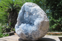 Natural Celestite Geode Specimen x 1 From Sakoany, Madagascar