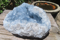 Natural Celestite Geode Specimen x 1 From Sakoany, Madagascar