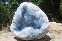 Natural Celestite Geode Specimen x 1 From Sakoany, Madagascar