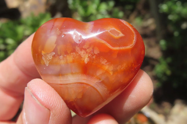 Polished Carnelian Gemstone Hearts x 20 From Madagascar