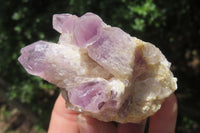 Natural Sugar Amethyst Quartz Clusters x 9 from Solwezi, Zambia