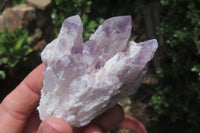 Natural Sugar Amethyst Quartz Clusters x 9 from Solwezi, Zambia