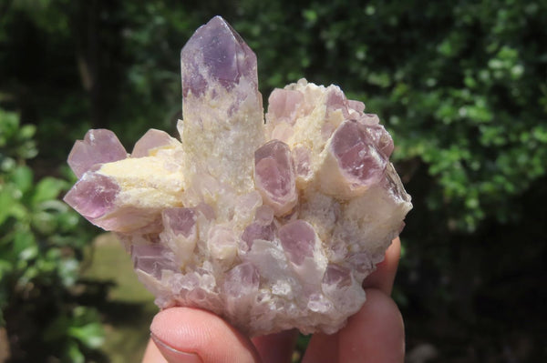 Natural Sugar Amethyst Quartz Clusters x 9 from Solwezi, Zambia