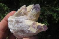 Natural Sugar Amethyst Quartz Clusters x 9 from Solwezi, Zambia