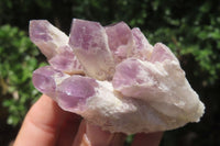 Natural Sugar Amethyst Quartz Clusters x 9 from Solwezi, Zambia