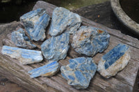 Natural Kyanite Matrix Specimens x 9 From Zimbabwe