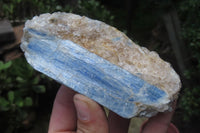 Natural Kyanite Matrix Specimens x 9 From Zimbabwe