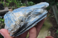 Natural Kyanite Matrix Specimens x 9 From Zimbabwe