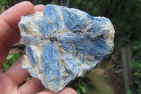 Natural Kyanite Matrix Specimens x 9 From Zimbabwe