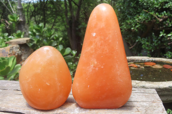 Polished Orange Twist Calcite Standing Free Forms x 2 From Madagascar