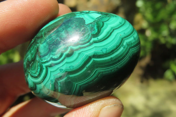 Polished Flower Banded Malachite Gemstone Eggs x 6 From Congo