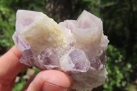 Natural Sugar Amethyst Quartz Clusters x 12 from Solwezi, Zambia