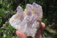 Natural Sugar Amethyst Quartz Clusters x 12 from Solwezi, Zambia