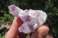 Natural Sugar Amethyst Quartz Clusters x 12 from Solwezi, Zambia