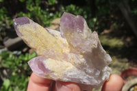 Natural Sugar Amethyst Quartz Clusters x 12 from Solwezi, Zambia