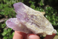 Natural Sugar Amethyst Quartz Clusters x 12 from Solwezi, Zambia