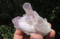 Natural Sugar Amethyst Quartz Clusters x 12 from Solwezi, Zambia