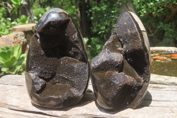 Polished Septerye Standing Free Forms x 2 From Mahajanga, Madagascar