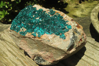 Natural Dioptase Cabinet Specimen x 1 From Brazzaville, Congo