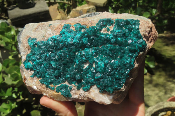 Natural Dioptase Cabinet Specimen x 1 From Brazzaville, Congo