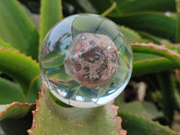 Polished Large Snakeskin Rhyolite Jasper cobbed piece in PVC Resin Sphere - sold per item - From Australia