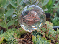 Polished Large Snakeskin Rhyolite Jasper cobbed piece in PVC Resin Sphere - sold per item - From Australia