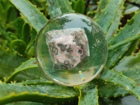 Polished Large Snakeskin Rhyolite Jasper cobbed piece in PVC Resin Sphere - sold per item - From Australia