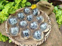 Polished Snowflake Obsidian pieces in PVC Resin Spheres - sold per item - From Mexico