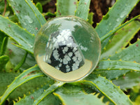 Polished Snowflake Obsidian pieces in PVC Resin Spheres - sold per item - From Mexico