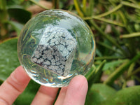 Polished Snowflake Obsidian pieces in PVC Resin Spheres - sold per item - From Mexico