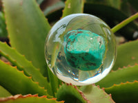 Polished Cobbed Blue Howlite in PVC Resin Spheres - sold per item - From Zimbabwe