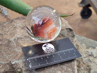 Polished Carnelian Agate in PVC Resin Spheres - sold per item - From Madagascar