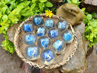 Polished Lapis Lazuli in PVC Resin Spheres - sold per item - From Afghanistan