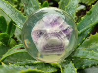 Polished Chevron Amethyst cobbed pieces in PVC Resin Spheres - sold per item - From Zambia