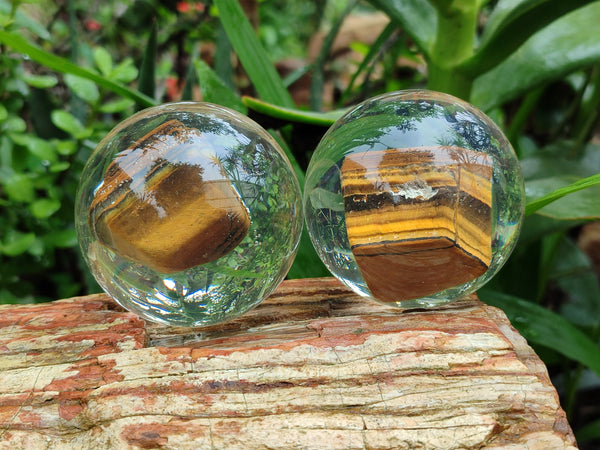 Polished Tigers Eye cobbed piece in PVC Resin Sphere - sold per item - From Northern Cape, South Africa