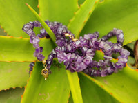 Polished A Grade Gem Amethyst Tumble Chip Beaded Necklace - Sold per Item- From Zambia