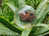 Polished Tiger Iron Jasper in PVC Resin Spheres - sold per item - From Australia