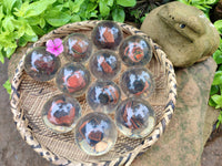 Polished Tiger Iron Jasper in PVC Resin Spheres - sold per item - From Australia