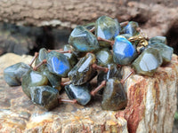 Polished Labradorite Free Form Beaded Necklace - Sold Per Item - From Madagascar