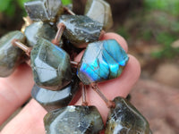 Polished Labradorite Free Form Beaded Necklace - Sold Per Item - From Madagascar