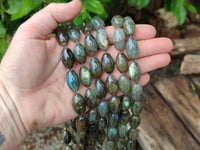 Polished Selected Flash Labradorite Oval Shaped Beaded Necklace - Sold Per Item - From Madagascar